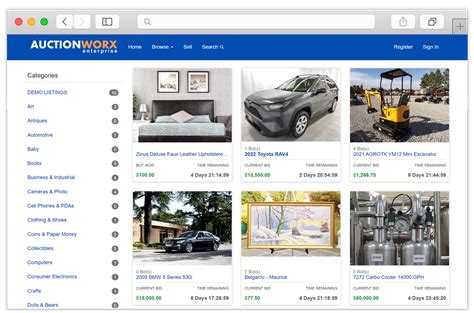 auction website software.